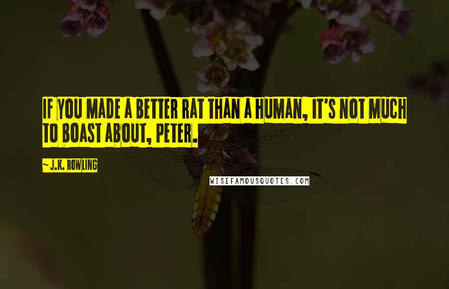 J.K. Rowling Quotes: If you made a better rat than a human, it's not much to boast about, Peter.