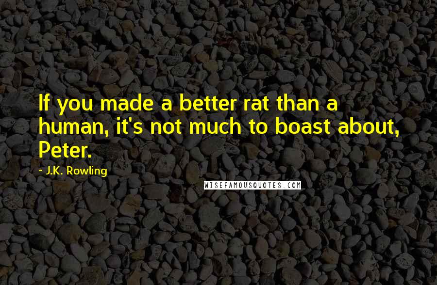 J.K. Rowling Quotes: If you made a better rat than a human, it's not much to boast about, Peter.