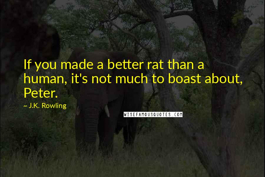 J.K. Rowling Quotes: If you made a better rat than a human, it's not much to boast about, Peter.