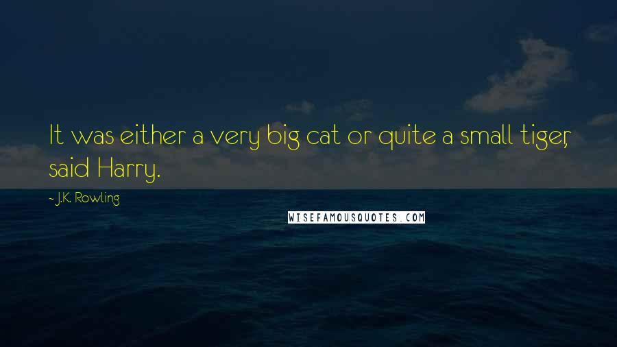 J.K. Rowling Quotes: It was either a very big cat or quite a small tiger, said Harry.