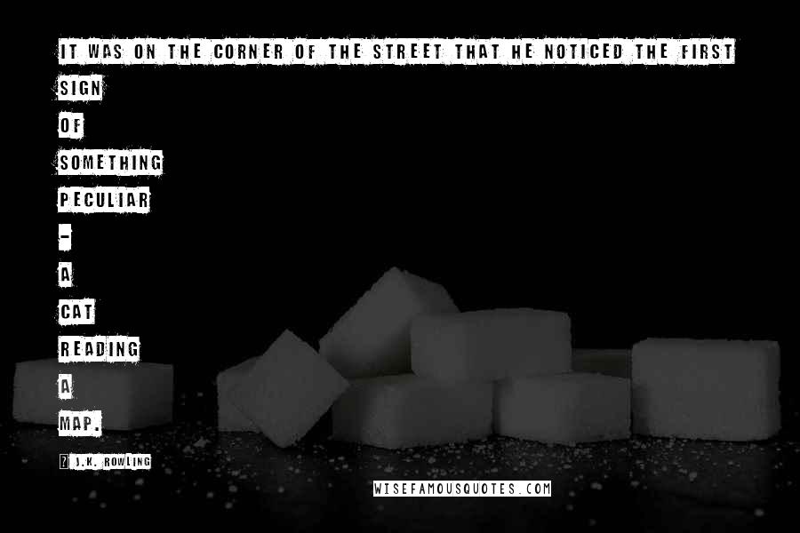 J.K. Rowling Quotes: It was on the corner of the street that he noticed the first sign of something peculiar - a cat reading a map.