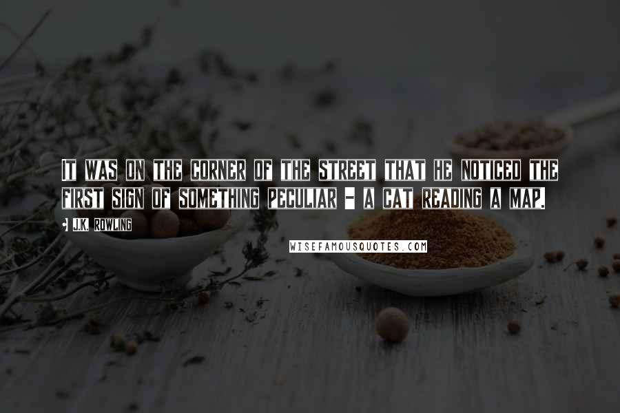 J.K. Rowling Quotes: It was on the corner of the street that he noticed the first sign of something peculiar - a cat reading a map.