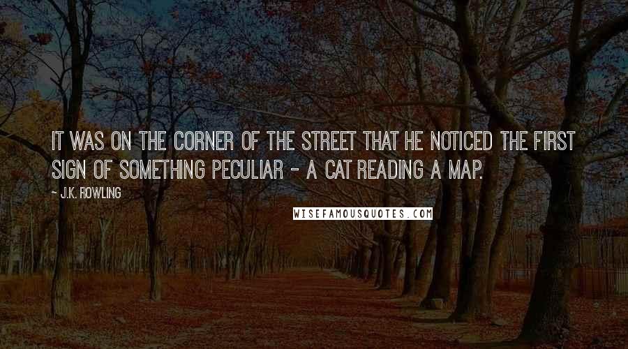 J.K. Rowling Quotes: It was on the corner of the street that he noticed the first sign of something peculiar - a cat reading a map.