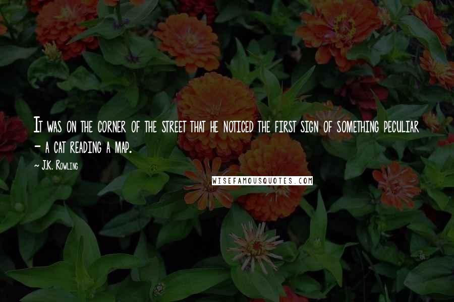 J.K. Rowling Quotes: It was on the corner of the street that he noticed the first sign of something peculiar - a cat reading a map.