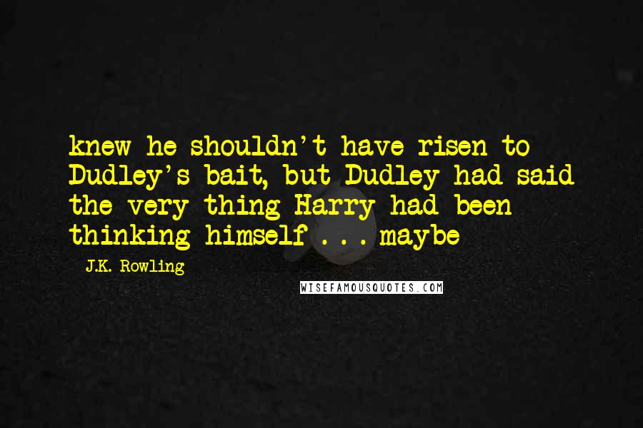 J.K. Rowling Quotes: knew he shouldn't have risen to Dudley's bait, but Dudley had said the very thing Harry had been thinking himself . . . maybe