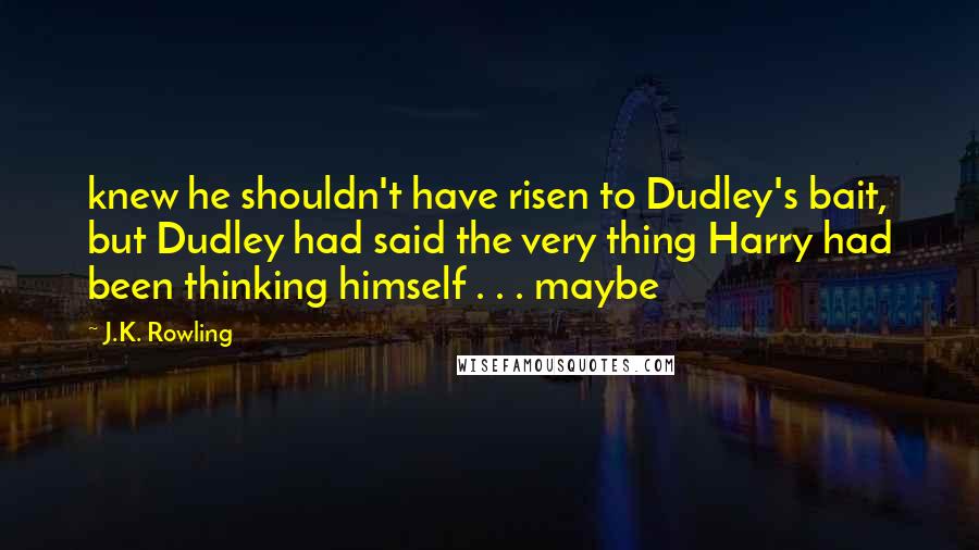 J.K. Rowling Quotes: knew he shouldn't have risen to Dudley's bait, but Dudley had said the very thing Harry had been thinking himself . . . maybe