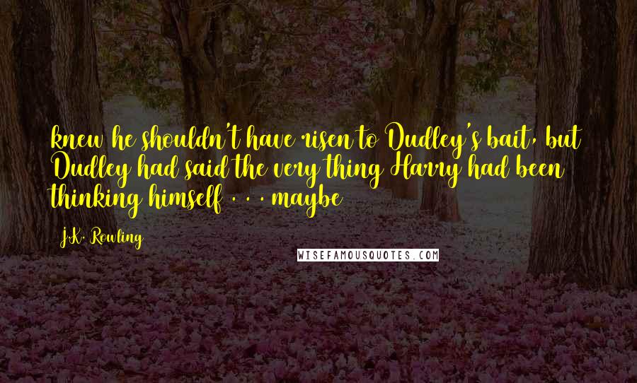 J.K. Rowling Quotes: knew he shouldn't have risen to Dudley's bait, but Dudley had said the very thing Harry had been thinking himself . . . maybe