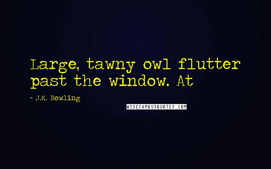 J.K. Rowling Quotes: Large, tawny owl flutter past the window. At