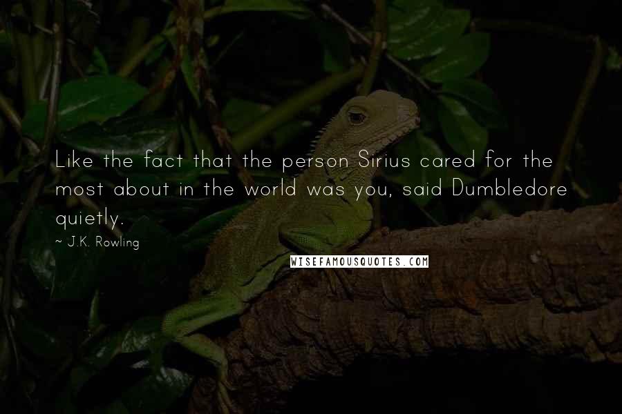 J.K. Rowling Quotes: Like the fact that the person Sirius cared for the most about in the world was you, said Dumbledore quietly.