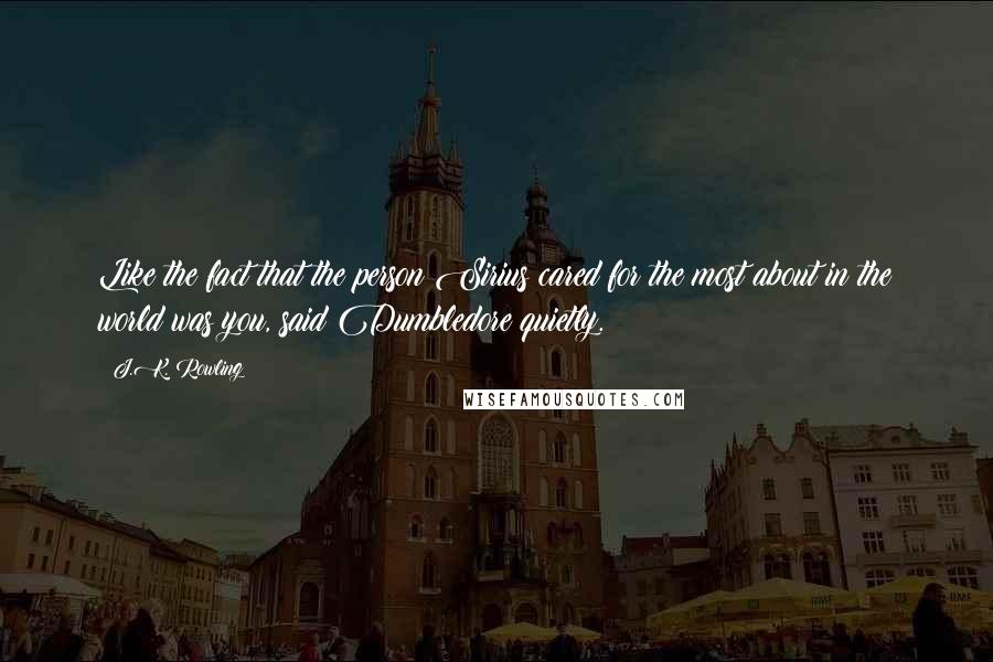 J.K. Rowling Quotes: Like the fact that the person Sirius cared for the most about in the world was you, said Dumbledore quietly.