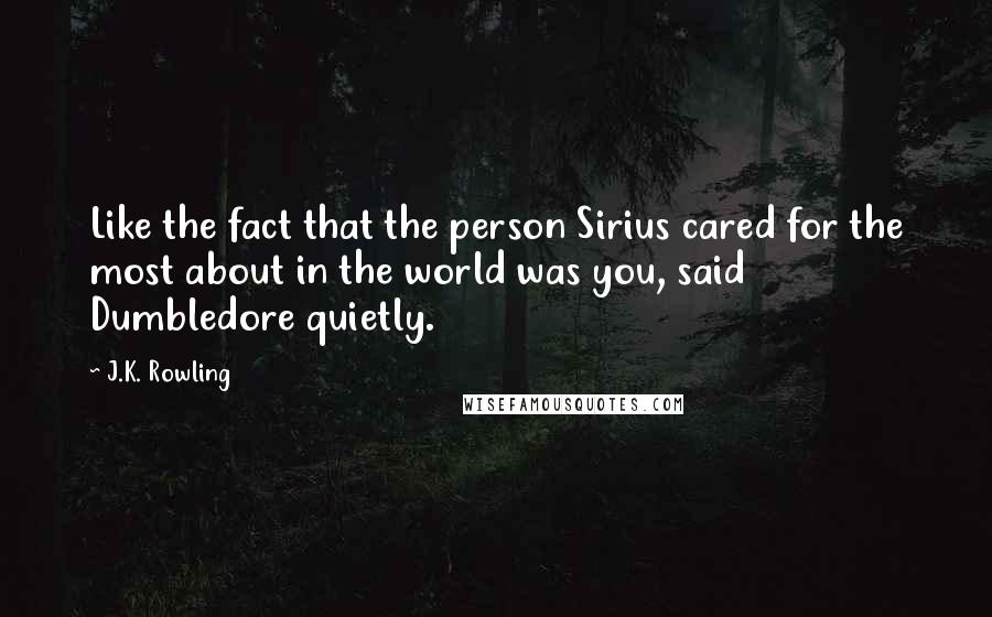 J.K. Rowling Quotes: Like the fact that the person Sirius cared for the most about in the world was you, said Dumbledore quietly.