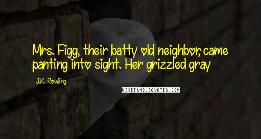 J.K. Rowling Quotes: Mrs. Figg, their batty old neighbor, came panting into sight. Her grizzled gray