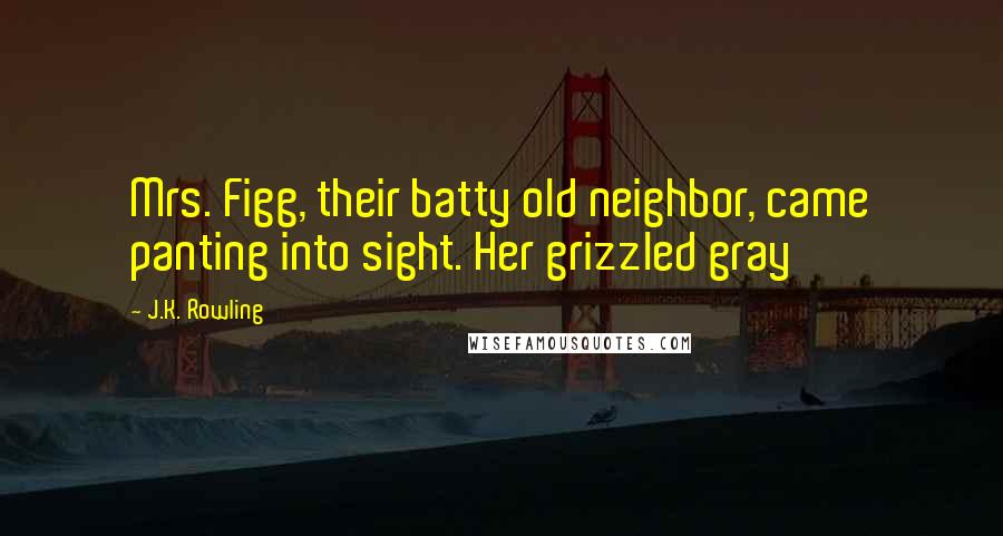 J.K. Rowling Quotes: Mrs. Figg, their batty old neighbor, came panting into sight. Her grizzled gray