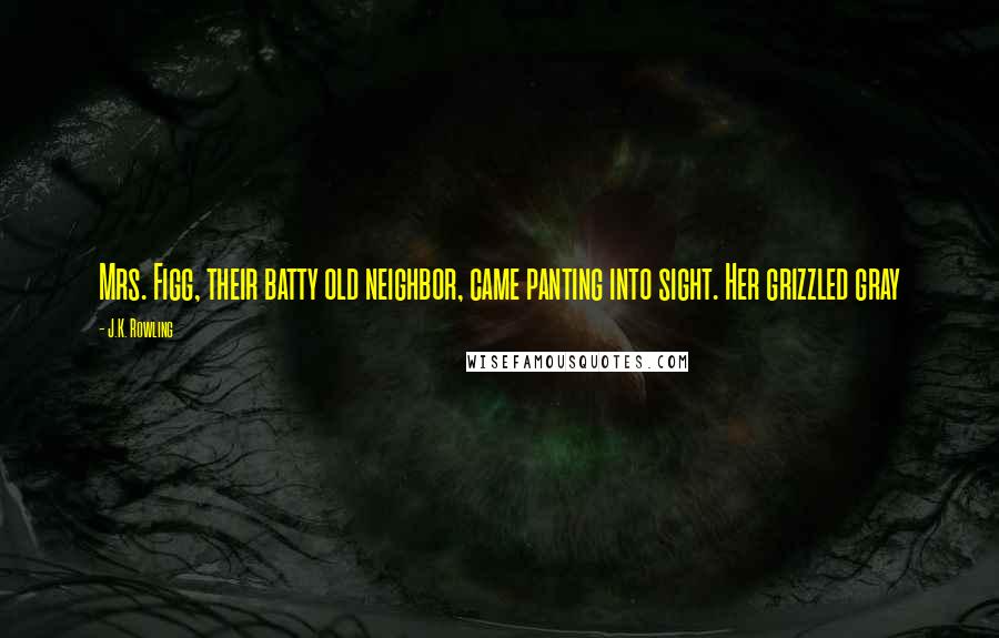 J.K. Rowling Quotes: Mrs. Figg, their batty old neighbor, came panting into sight. Her grizzled gray