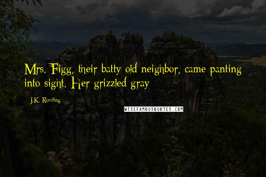 J.K. Rowling Quotes: Mrs. Figg, their batty old neighbor, came panting into sight. Her grizzled gray