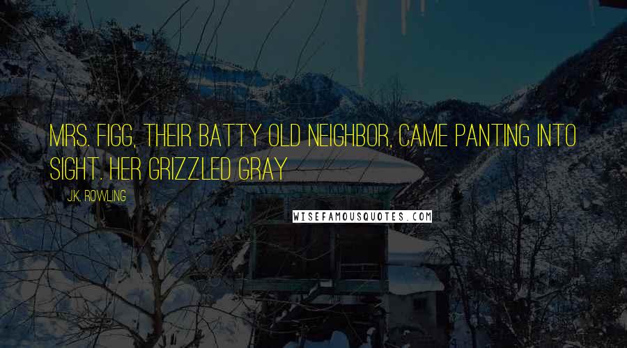 J.K. Rowling Quotes: Mrs. Figg, their batty old neighbor, came panting into sight. Her grizzled gray