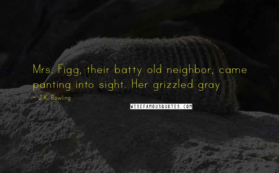 J.K. Rowling Quotes: Mrs. Figg, their batty old neighbor, came panting into sight. Her grizzled gray