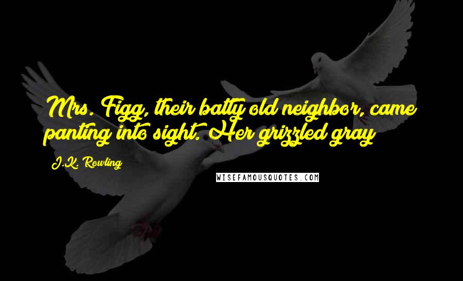 J.K. Rowling Quotes: Mrs. Figg, their batty old neighbor, came panting into sight. Her grizzled gray