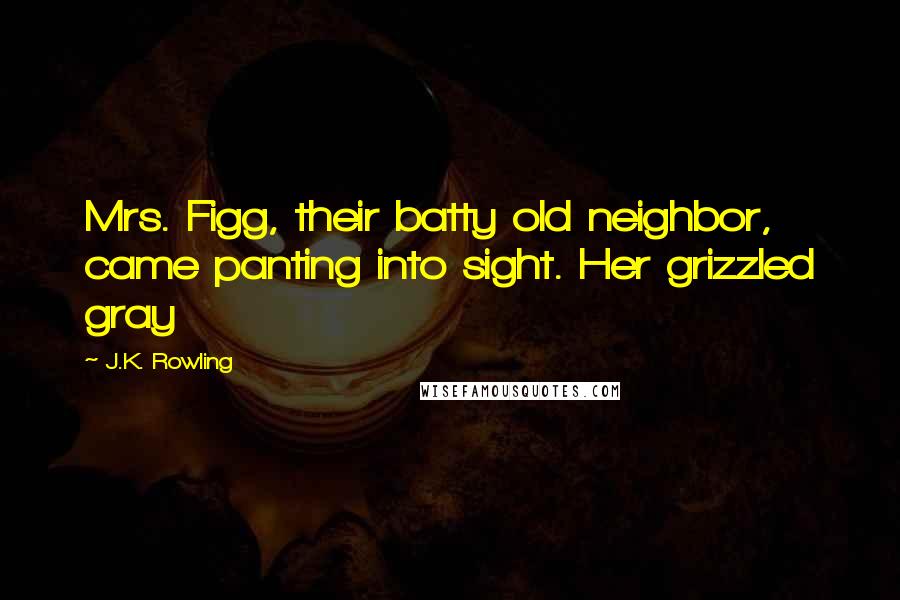 J.K. Rowling Quotes: Mrs. Figg, their batty old neighbor, came panting into sight. Her grizzled gray