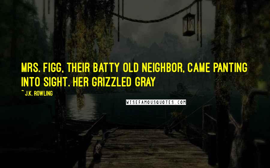 J.K. Rowling Quotes: Mrs. Figg, their batty old neighbor, came panting into sight. Her grizzled gray