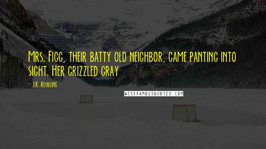 J.K. Rowling Quotes: Mrs. Figg, their batty old neighbor, came panting into sight. Her grizzled gray