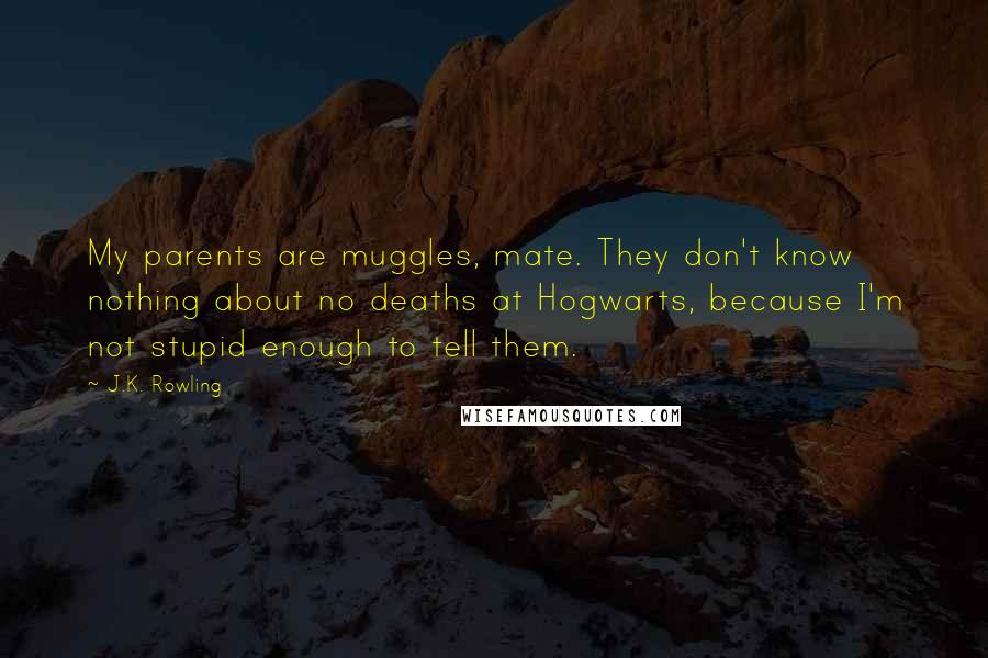 J.K. Rowling Quotes: My parents are muggles, mate. They don't know nothing about no deaths at Hogwarts, because I'm not stupid enough to tell them.