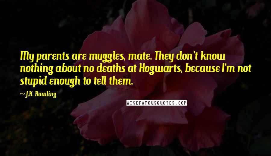 J.K. Rowling Quotes: My parents are muggles, mate. They don't know nothing about no deaths at Hogwarts, because I'm not stupid enough to tell them.