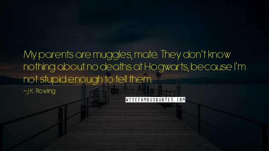J.K. Rowling Quotes: My parents are muggles, mate. They don't know nothing about no deaths at Hogwarts, because I'm not stupid enough to tell them.