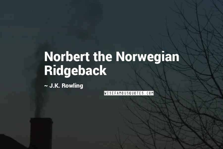 J.K. Rowling Quotes: Norbert the Norwegian Ridgeback