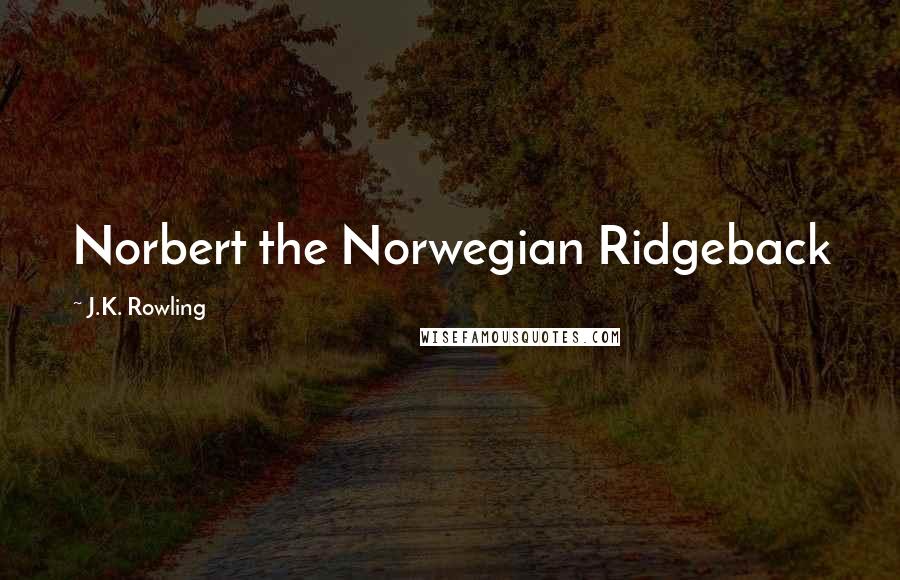 J.K. Rowling Quotes: Norbert the Norwegian Ridgeback