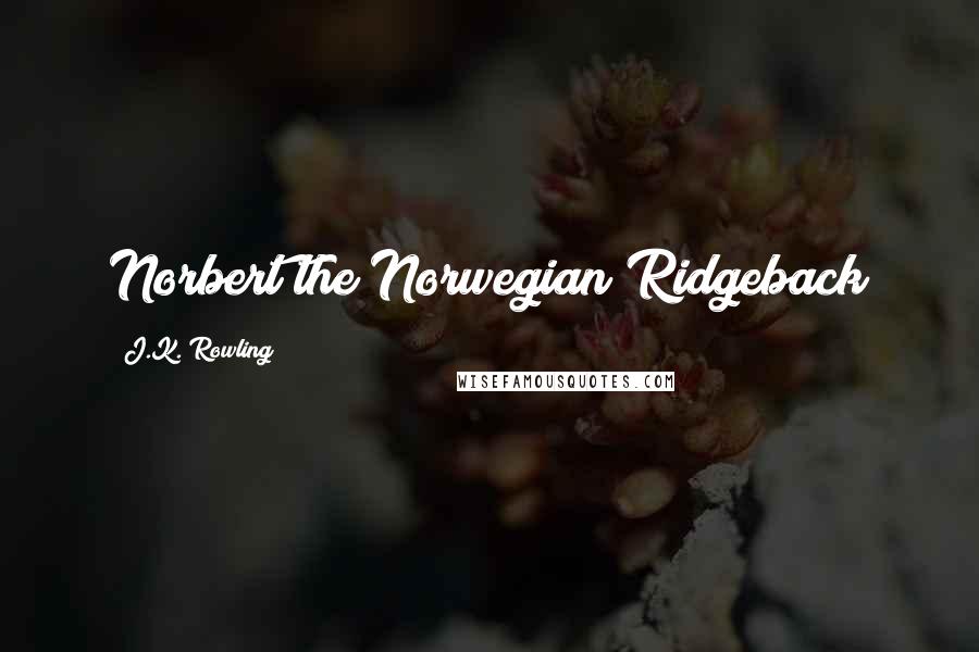 J.K. Rowling Quotes: Norbert the Norwegian Ridgeback