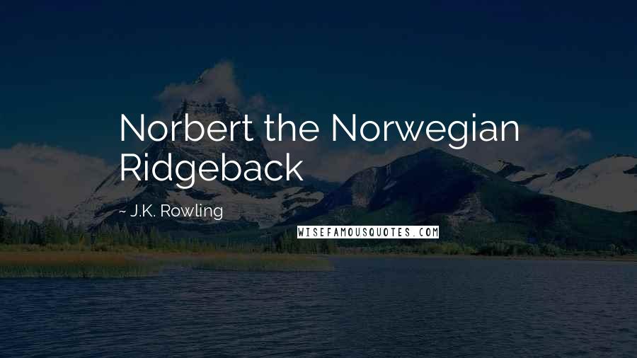 J.K. Rowling Quotes: Norbert the Norwegian Ridgeback