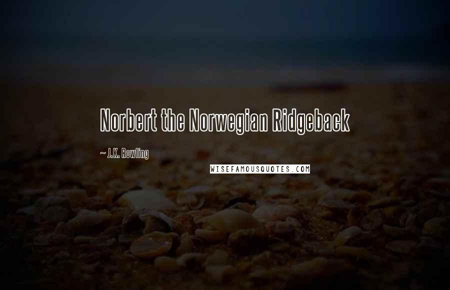 J.K. Rowling Quotes: Norbert the Norwegian Ridgeback