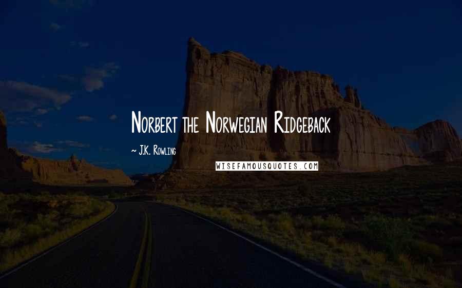 J.K. Rowling Quotes: Norbert the Norwegian Ridgeback