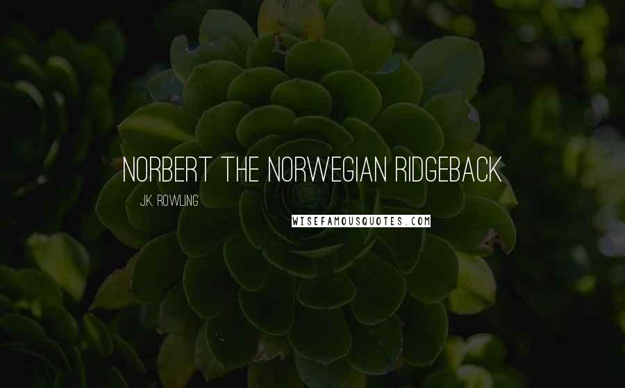 J.K. Rowling Quotes: Norbert the Norwegian Ridgeback