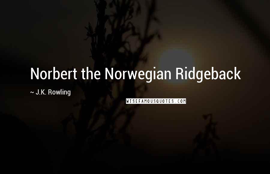 J.K. Rowling Quotes: Norbert the Norwegian Ridgeback