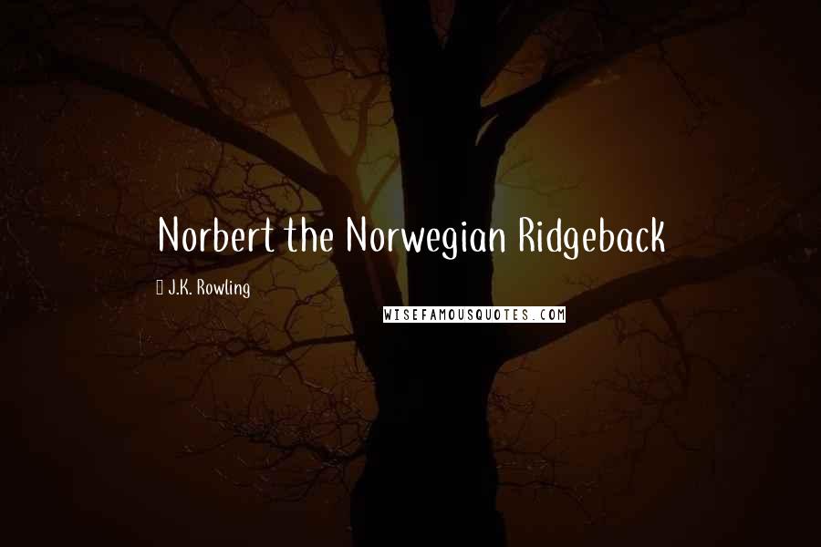 J.K. Rowling Quotes: Norbert the Norwegian Ridgeback
