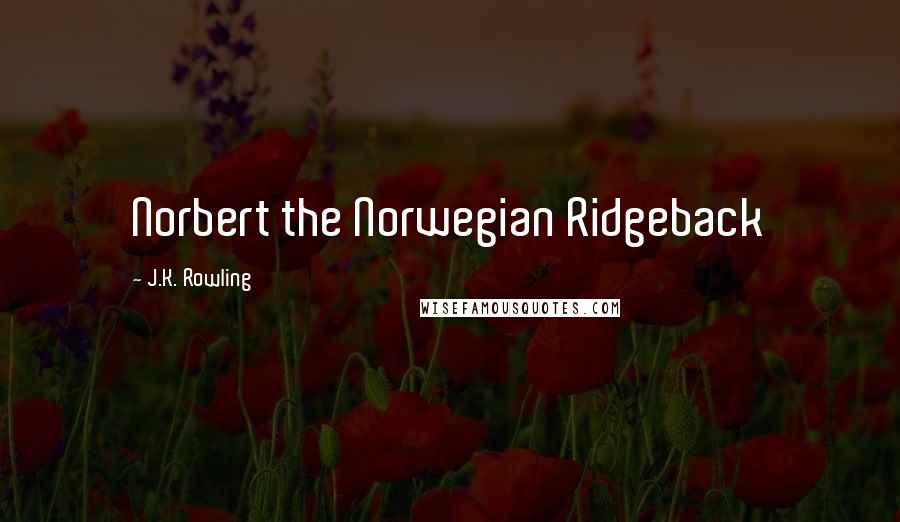 J.K. Rowling Quotes: Norbert the Norwegian Ridgeback