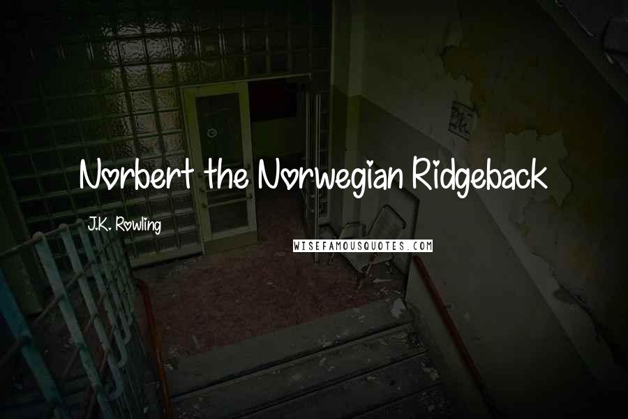 J.K. Rowling Quotes: Norbert the Norwegian Ridgeback