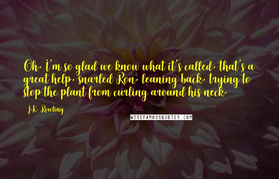 J.K. Rowling Quotes: Oh, I'm so glad we know what it's called, that's a great help, snarled Ron, leaning back, trying to stop the plant from curling around his neck.