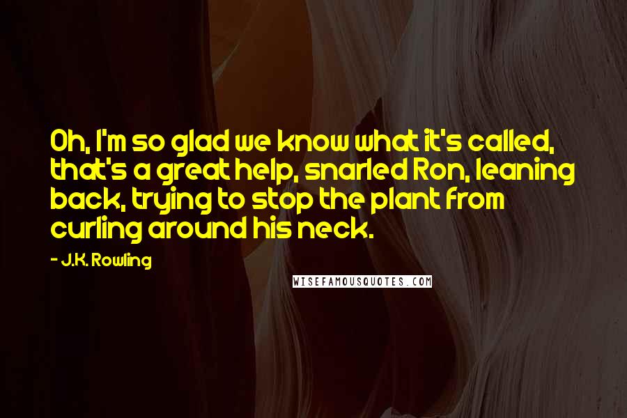 J.K. Rowling Quotes: Oh, I'm so glad we know what it's called, that's a great help, snarled Ron, leaning back, trying to stop the plant from curling around his neck.