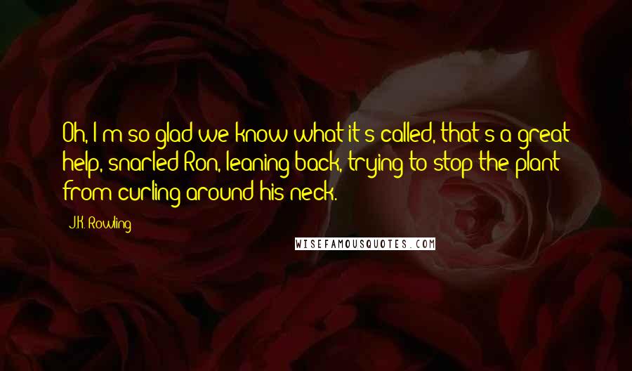 J.K. Rowling Quotes: Oh, I'm so glad we know what it's called, that's a great help, snarled Ron, leaning back, trying to stop the plant from curling around his neck.