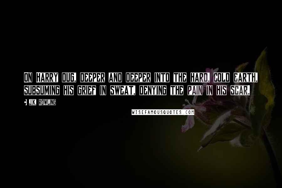 J.K. Rowling Quotes: On Harry dug, deeper and deeper into the hard, cold earth, subsuming his grief in sweat, denying the pain in his scar.