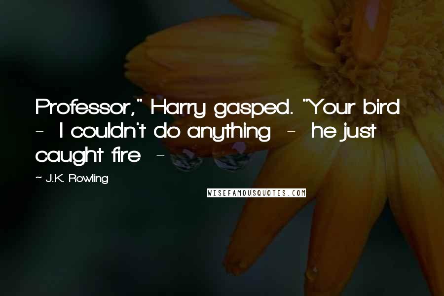 J.K. Rowling Quotes: Professor," Harry gasped. "Your bird  -  I couldn't do anything  -  he just caught fire  - 