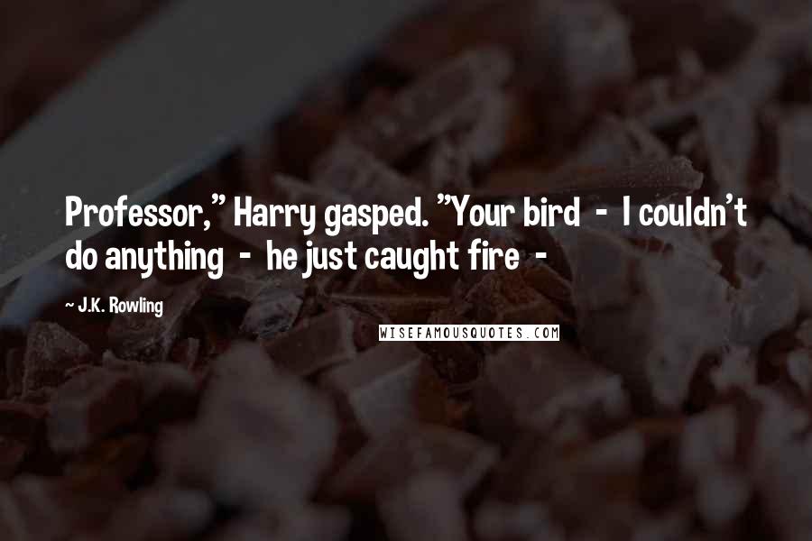 J.K. Rowling Quotes: Professor," Harry gasped. "Your bird  -  I couldn't do anything  -  he just caught fire  - 