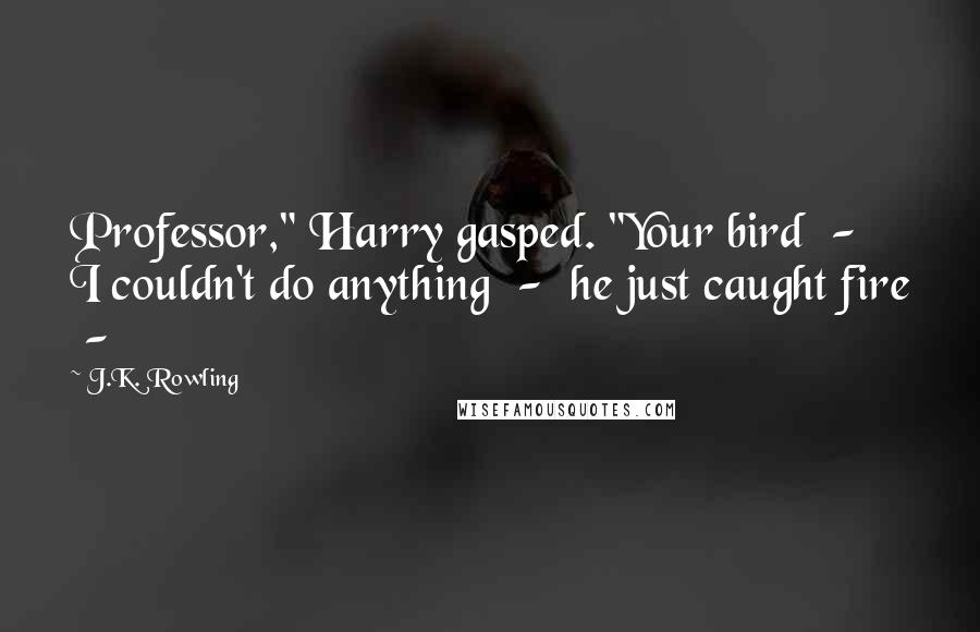 J.K. Rowling Quotes: Professor," Harry gasped. "Your bird  -  I couldn't do anything  -  he just caught fire  - 