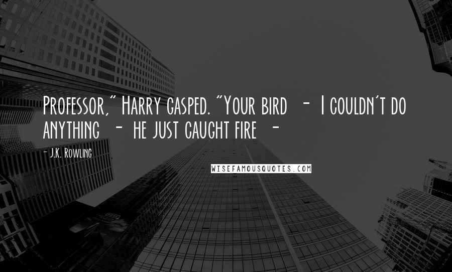 J.K. Rowling Quotes: Professor," Harry gasped. "Your bird  -  I couldn't do anything  -  he just caught fire  - 