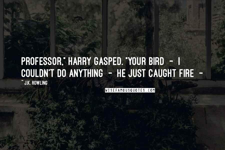 J.K. Rowling Quotes: Professor," Harry gasped. "Your bird  -  I couldn't do anything  -  he just caught fire  - 