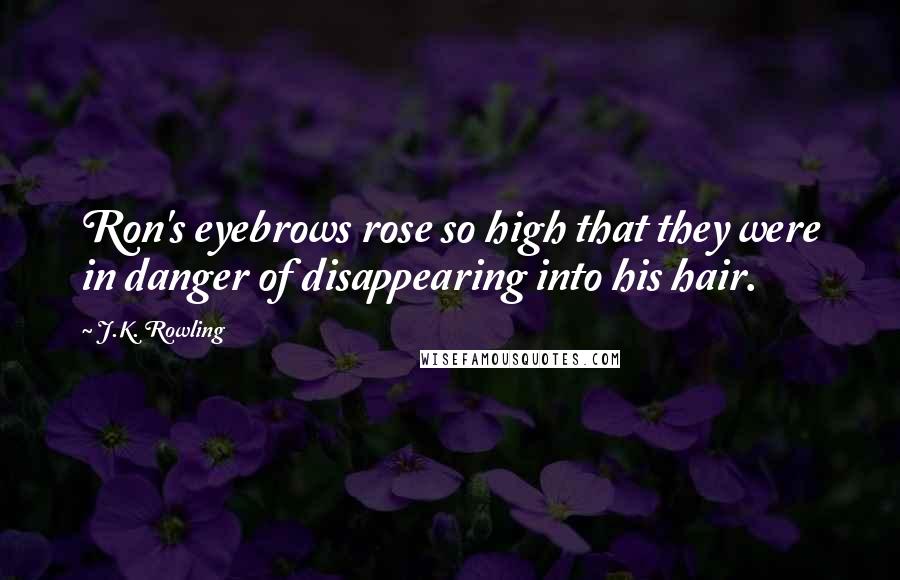 J.K. Rowling Quotes: Ron's eyebrows rose so high that they were in danger of disappearing into his hair.