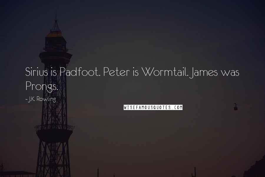 J.K. Rowling Quotes: Sirius is Padfoot. Peter is Wormtail. James was Prongs.